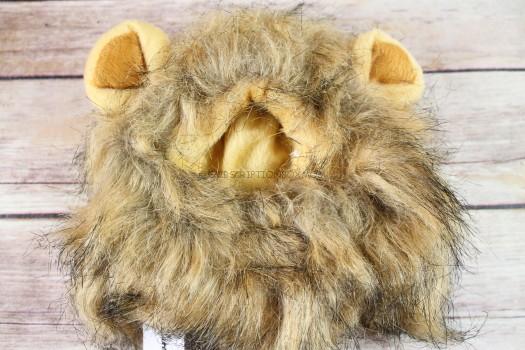 Cat Couture Lion Mane Costume