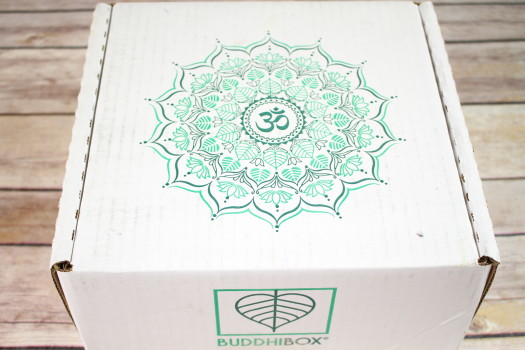 BuddhiBox November 2016 Review