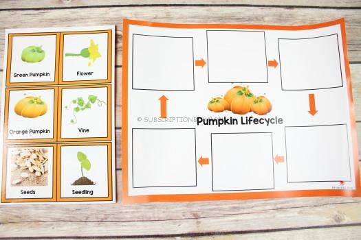 Pumpkin Lifecycle Poster