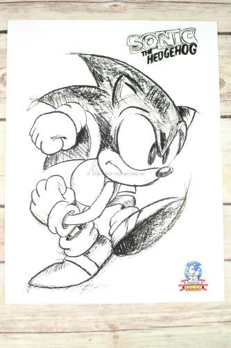 Sonic 25th Anniversary Print