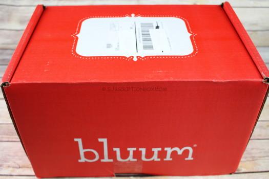 Bluum November 2016 Review