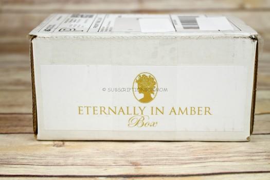 Eternally in Amber November 2016 Review