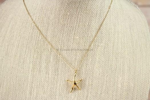 Starfish Project Necklace 