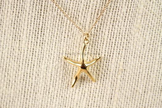 Starfish Project Necklace 