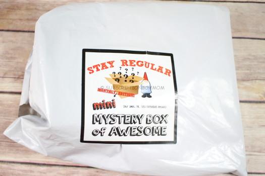 Stay Regular Mini Monthly Mystery Box December 2016 Review