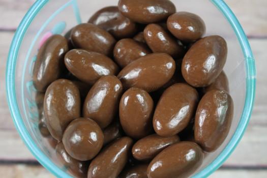 Albanese Milk Chocolate Covered Almonds