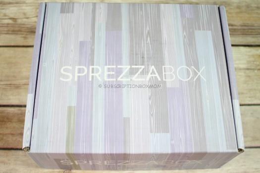 SprezzaBox January 2017 Review