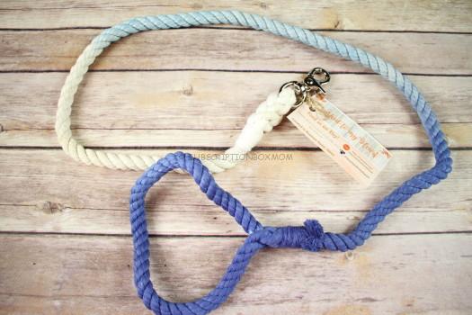 Leashed to My Heart Winter Wonderland Ombre Leash 