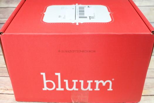 Bluum February 2017 Review