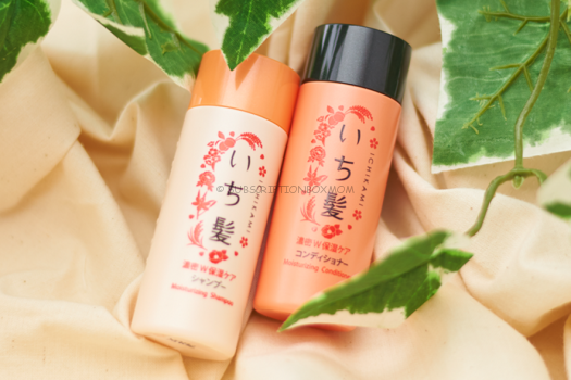 Ichikami Shampoo + Conditioner