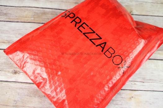 SprezzaBox February 2017 Review