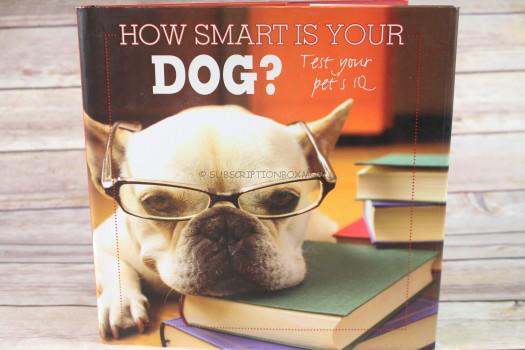 How Smart Is Your Dog?