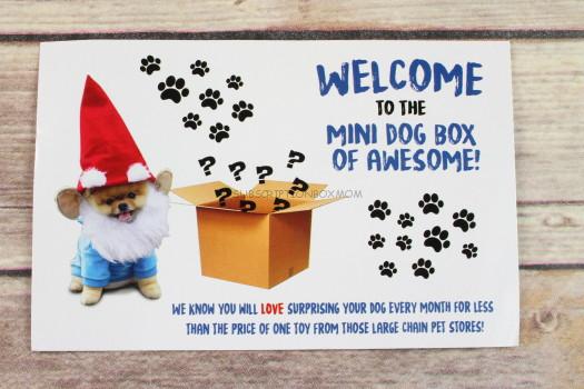 Stay Regular Mini Monthly Dog Box