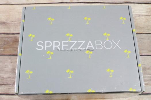 SprezzaBox March 2017 Review 