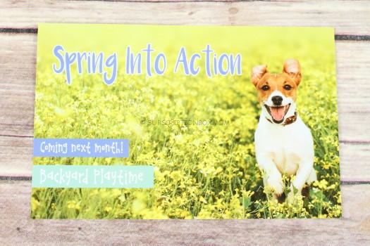 Spring Into Action