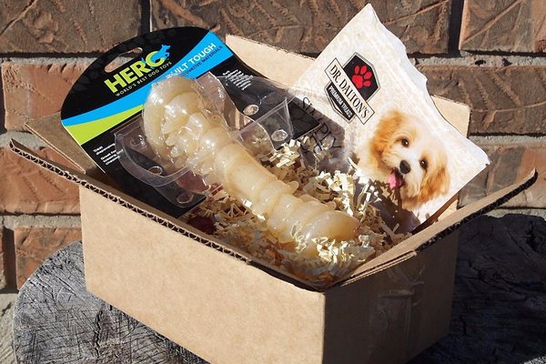 chomp dog box