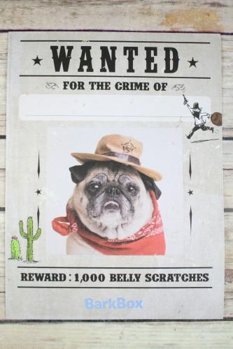 Wanted Poster