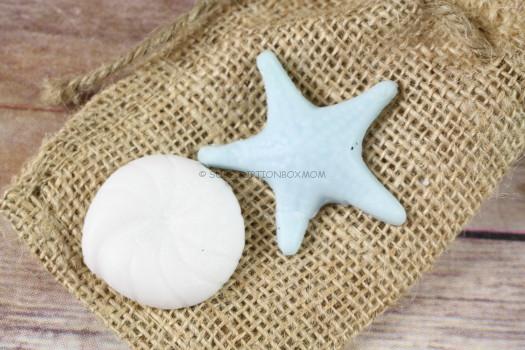 Buddhibox Artisan Seashell Soaps 