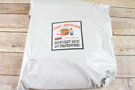 Stay Regular Mini Monthly Mystery Box August 2017 Review