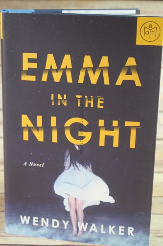 Emma in the Night by Wendy Walker - Judge Krysten Ritter
