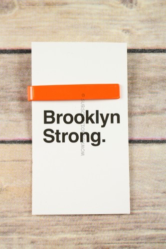 Brooklyn Strong Tie Clip