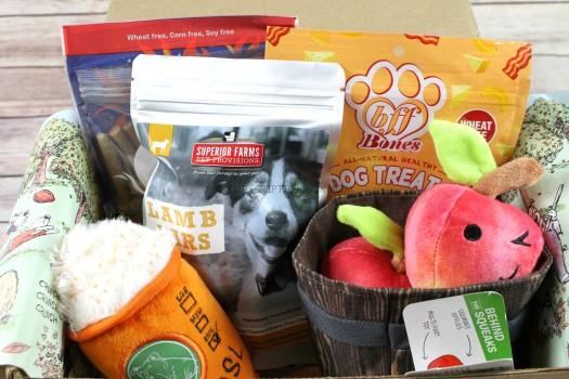 BarkBox November 2017 Review