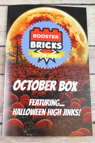 Booster Bricks