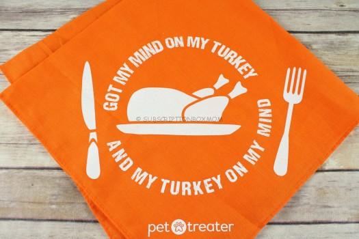 Thanksgiving Bandana 