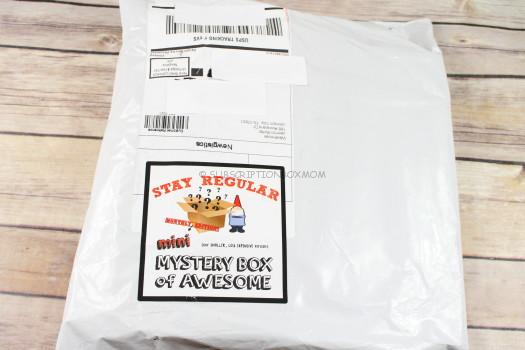 Stay Regular Mini Monthly Mystery Box November 2017 Review