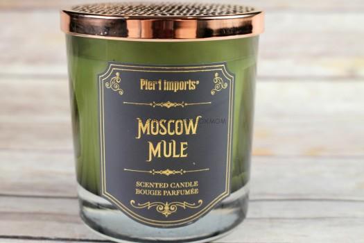 Pier 1 Imports Cocktail Filled Candle - Moscow Mule