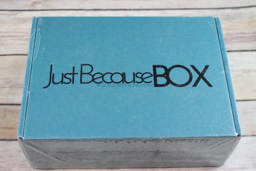 Just Because Box December 2017 Review