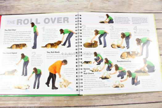 Smart Tricks for Smart Dogs by Mary Ann Nester