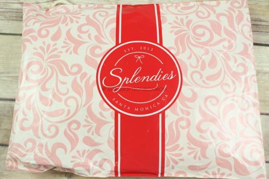 Splendies January 2018 Review