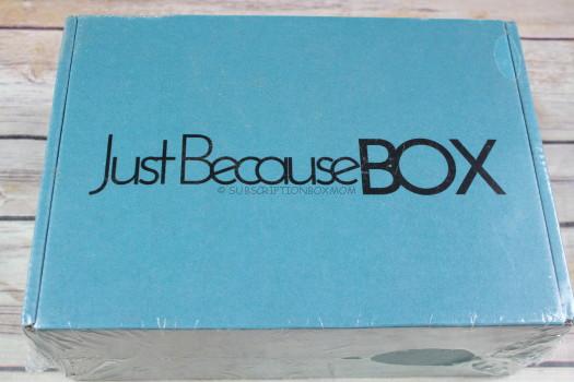 Just Because Box January 2018 Review