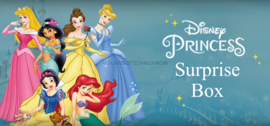 Disney Pley Princess January 2018 Spoiler