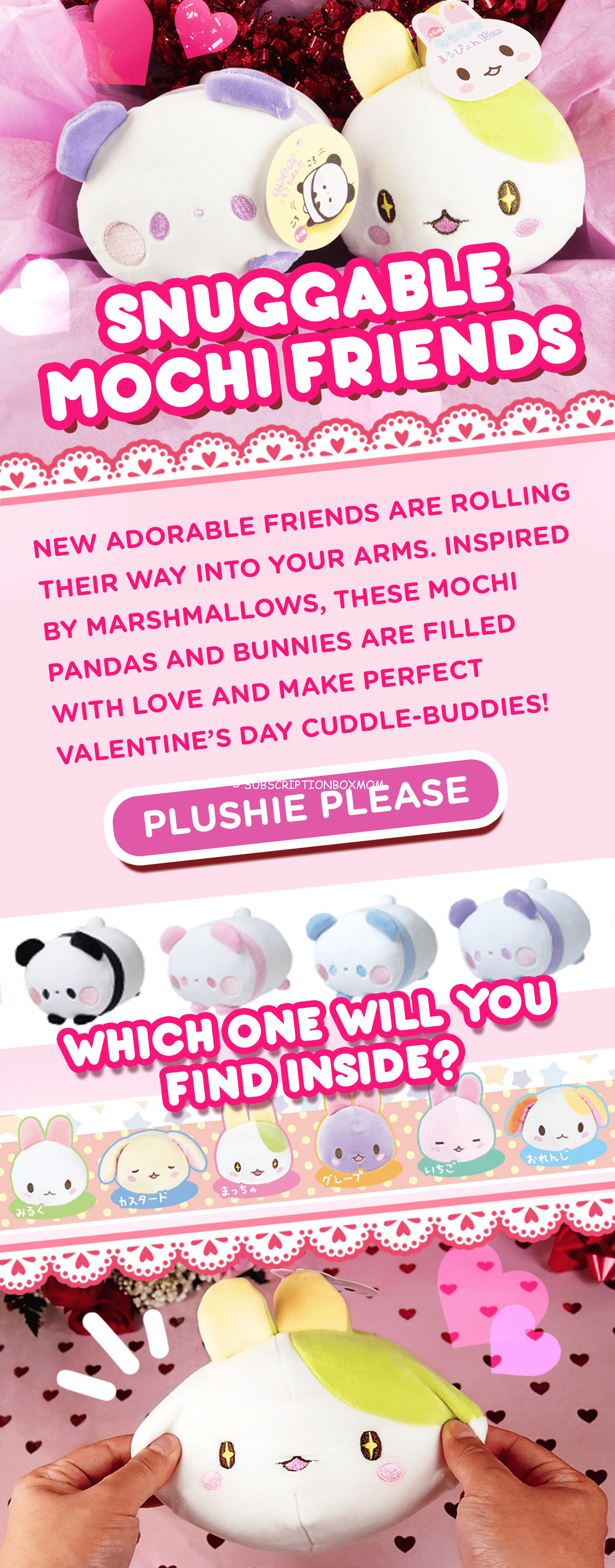 February 2018 Doki Doki Crate Spoiler #2