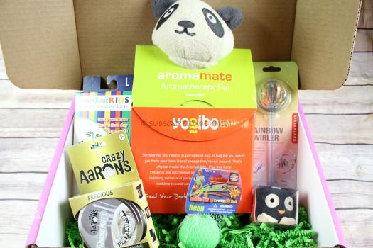 Sensory TheraPlay Box February 2018 Review