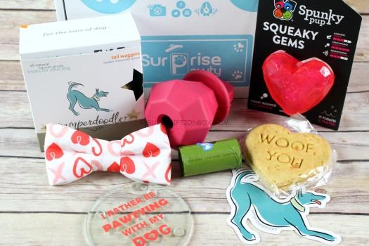 Surprise Pawty February 2017 Review