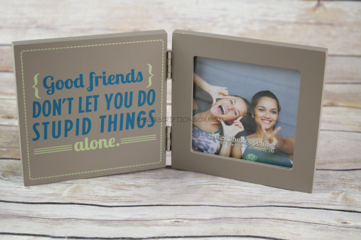 Good Friends Don't Let You Do Stupid Things Alone Picture Frame