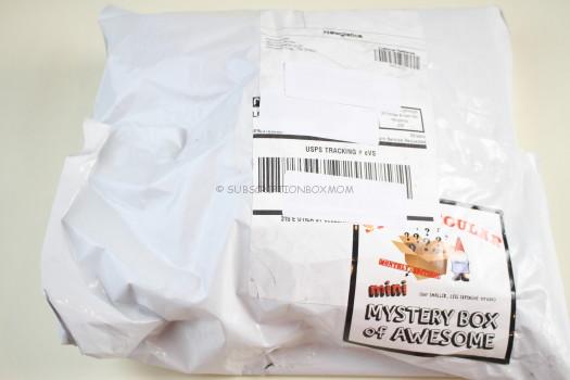 Stay Regular Mini Monthly Mystery Box March 2018 Review