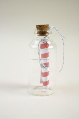 Message In A Bottle Set