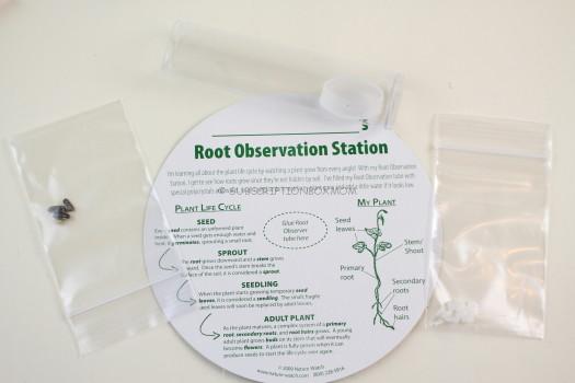 Experiment #2 Root Observation Station