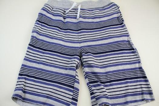 Splendid - Stripe Print Shorts 