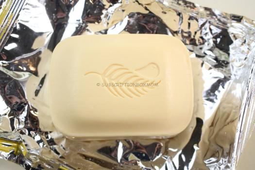 Melaleuga Pineapple Mango Body Bar