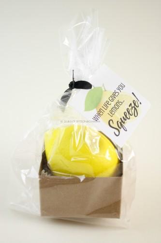 Lemon Stress Ball 