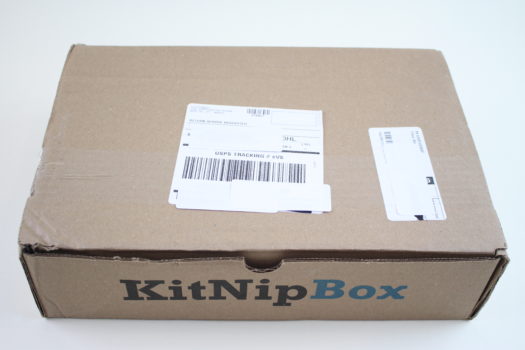 KitNipBox June 2018 Cat Subscription Box Review