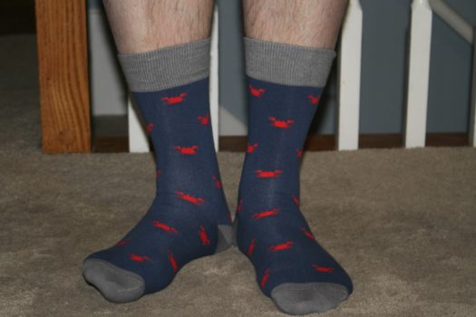 Society Socks June 2018 Review