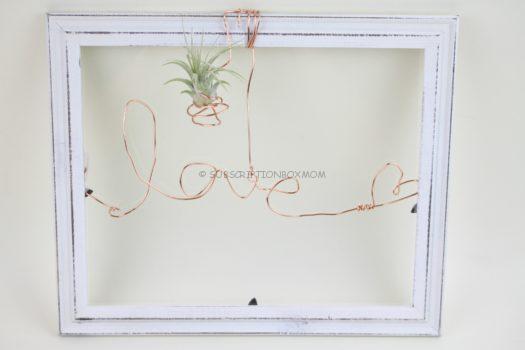 Wired Air Plant Picture Frame