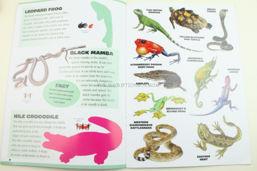 Reptiles and Amphibians Sticker Book