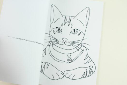 Colorama Cats and Kittens - 10 Postcards